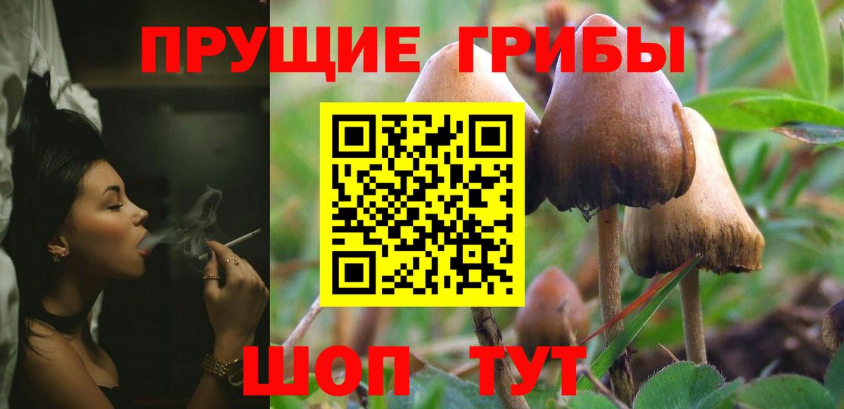 Галлюциногенные грибы прущие грибы  Вход с VPN  Борисоглебск 